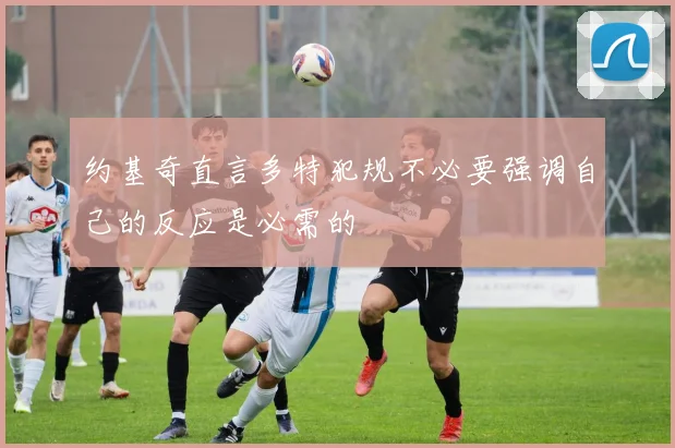 约基奇直言多特犯规不必要强调自己的反应是必需的