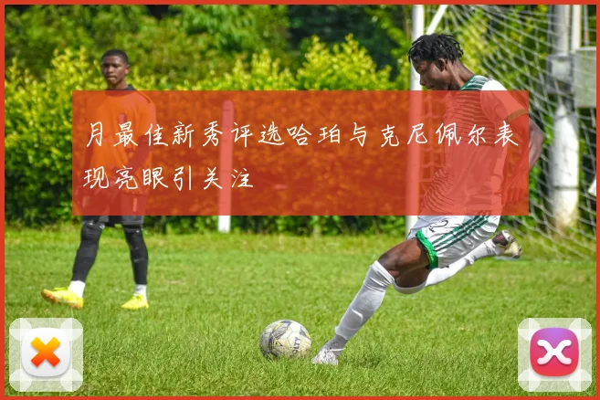 月最佳新秀评选哈珀与克尼佩尔表现亮眼引关注