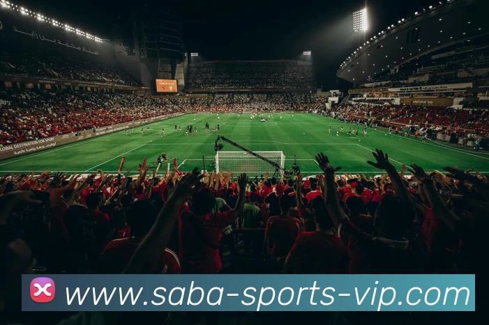 沙巴体育服务体系